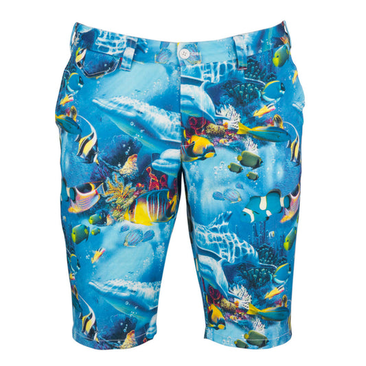 Dolphin